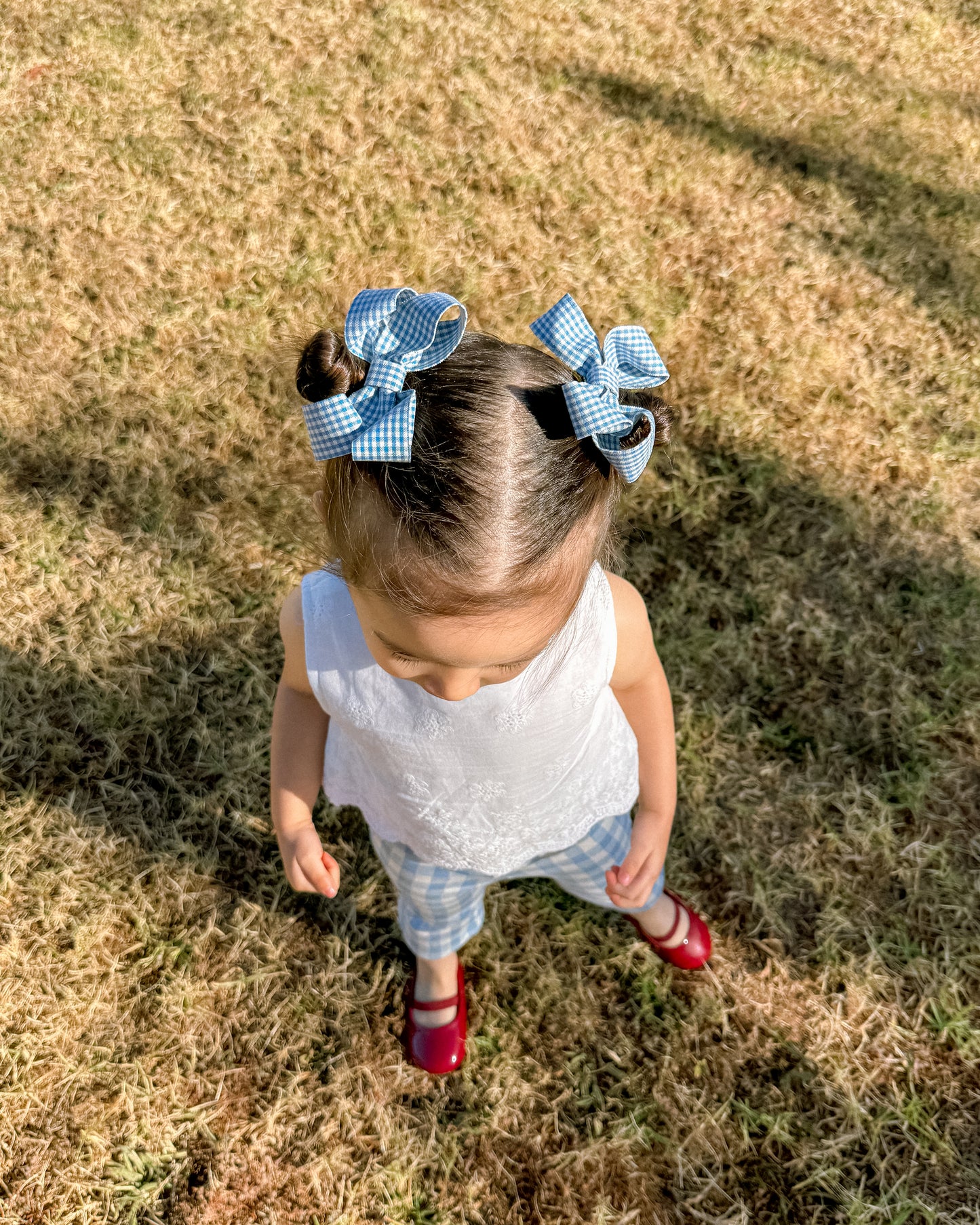 Gingham Bow Clip - Blue