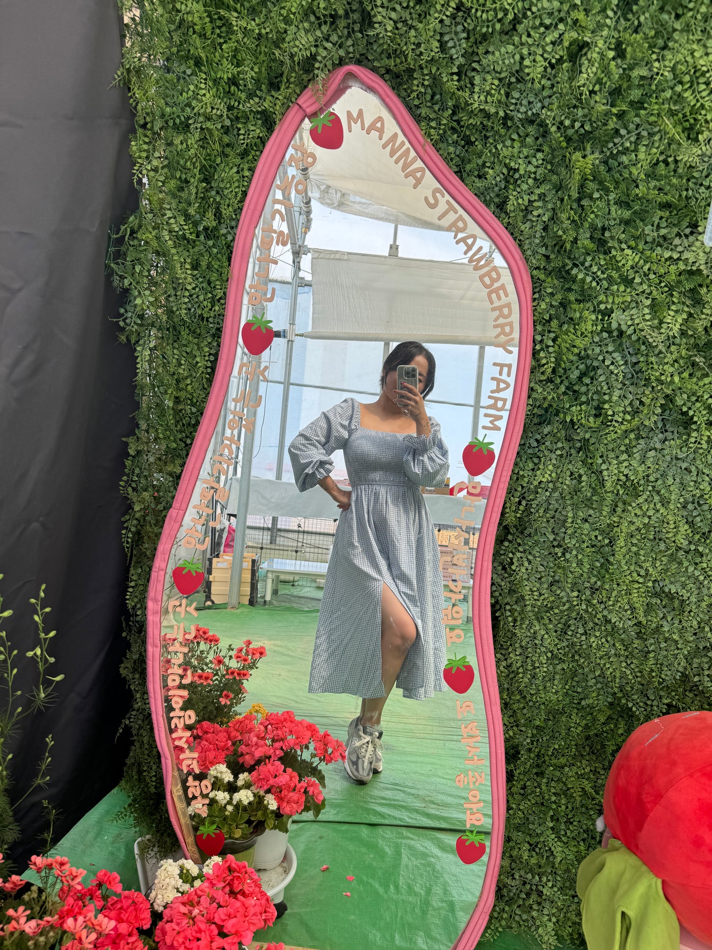 Women dress XXL