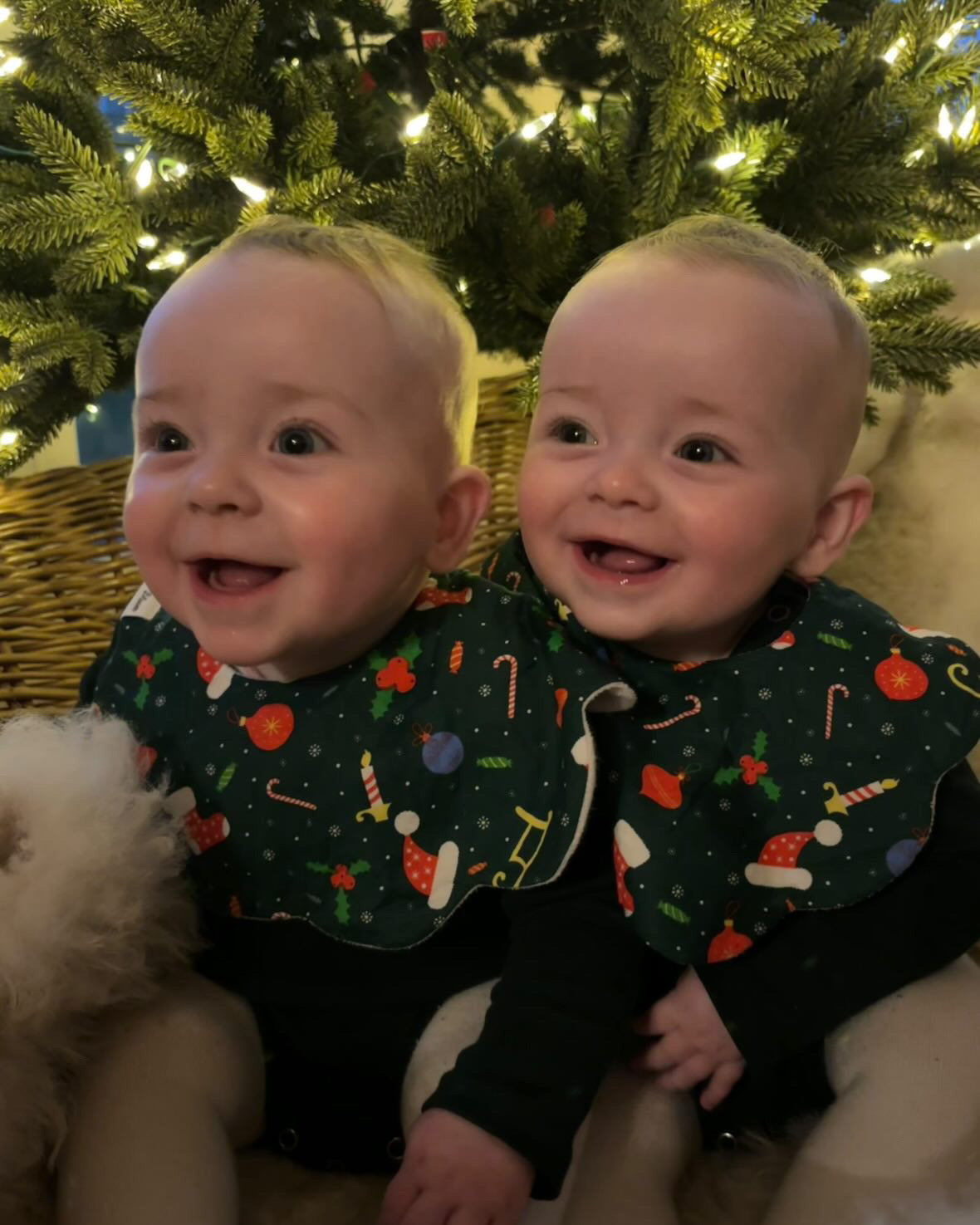 5-Layer Dribble Bib - Christmas Joy