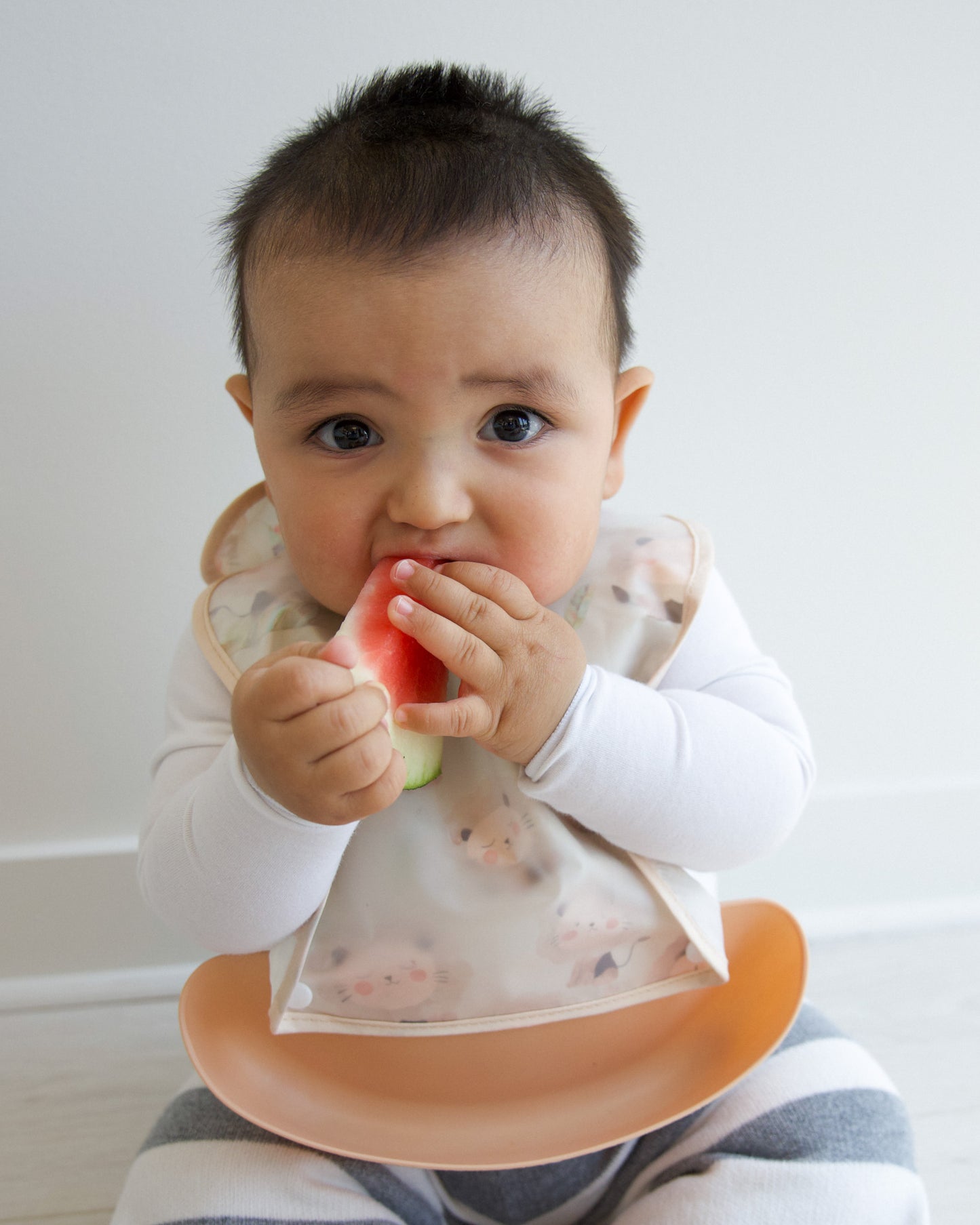 Food Catcher Bib - Lions