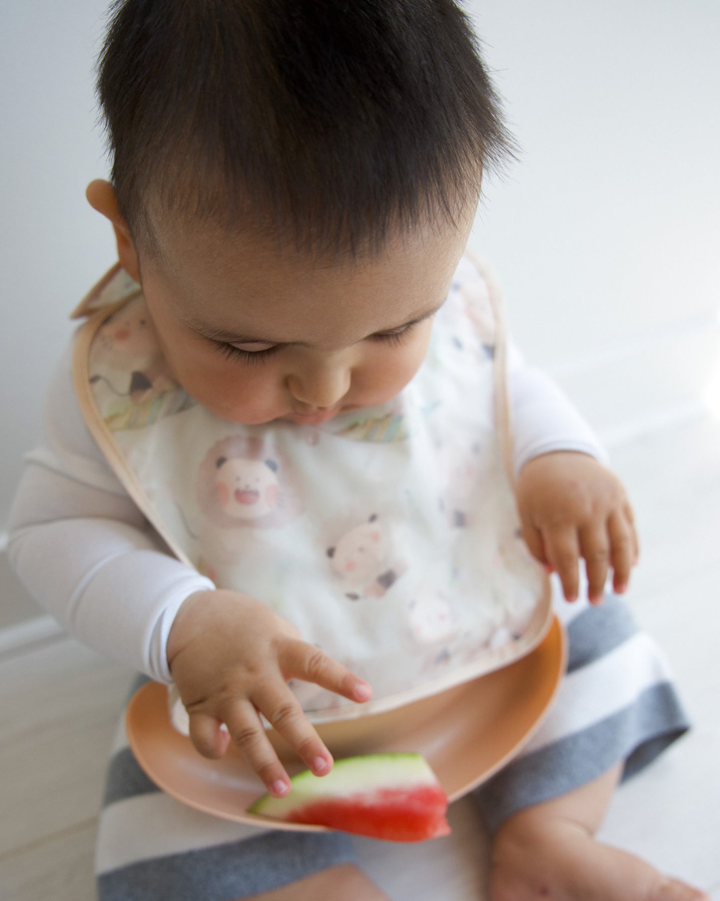 Food Catcher Bib - Lions